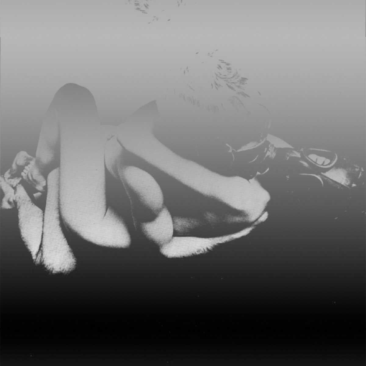 the veldt - thanks to the moth and areanna rose