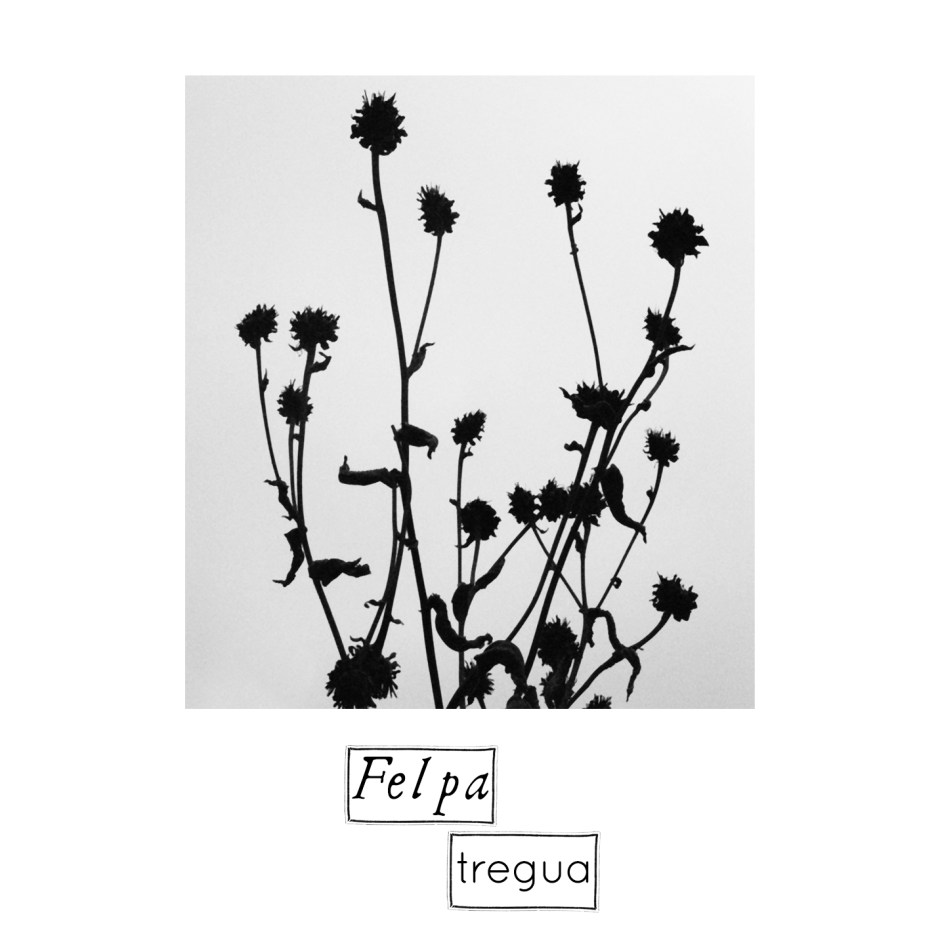 Felpa_Tregua_CopertinaGrande