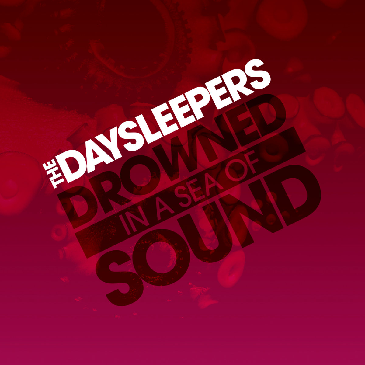 the-daysleepers-drowned-in-a-sea-of-sound